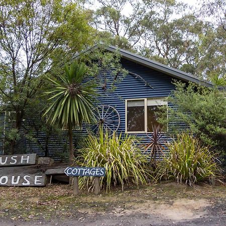 Lorne Bush House Cottages & Eco Retreats Exterior foto