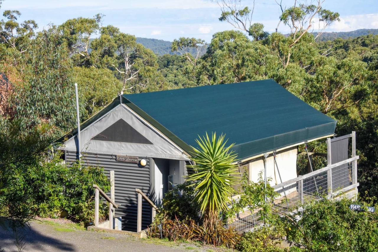 Lorne Bush House Cottages & Eco Retreats Exterior foto